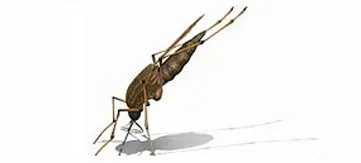 Travel Vaccination Clinic at Dencare Clinic & Travel Vaccinations