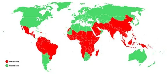 Travel Vaccinations Clinic at Dencare Clinic & Travel Vaccinations